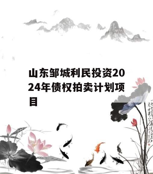 山东邹城利民投资2024年债权拍卖计划项目