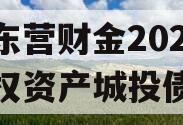 山东东营财金2024年债权资产城投债定融