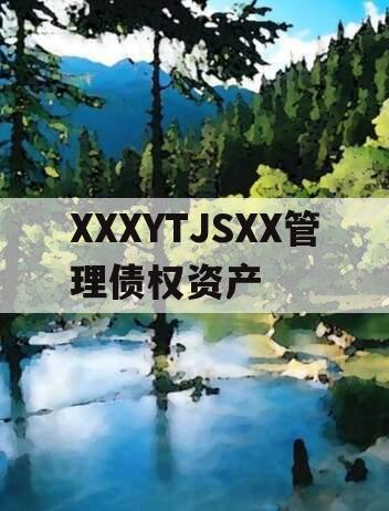 XXXYTJSXX管理债权资产