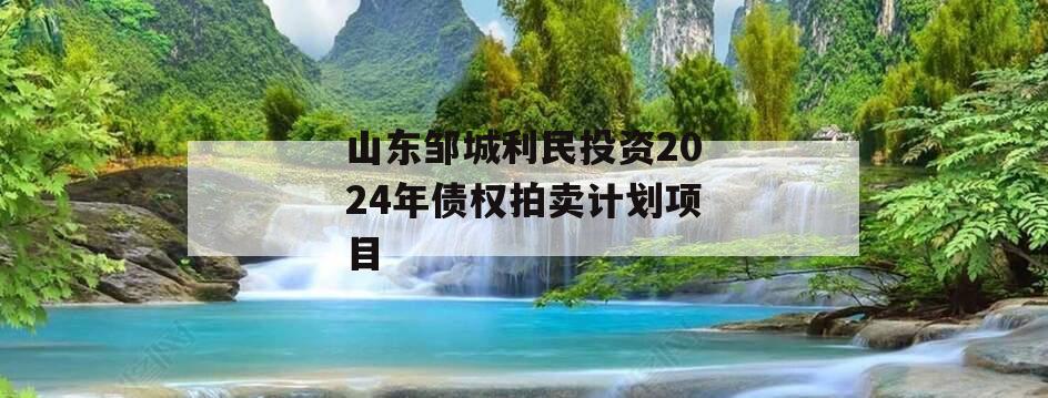 山东邹城利民投资2024年债权拍卖计划项目