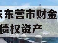 山东东营市财金2024年债权资产