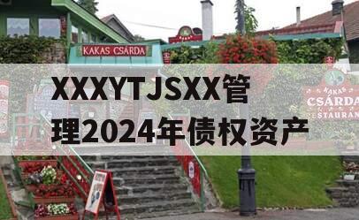 XXXYTJSXX管理2024年债权资产