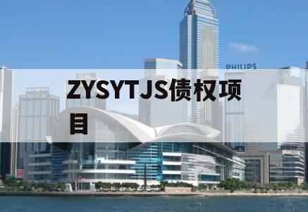 ZYSYTJS债权项目