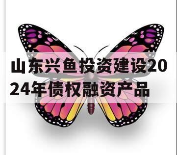 山东兴鱼投资建设2024年债权融资产品