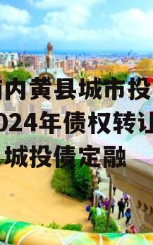 河南内黄县城市投资开发2024年债权转让项目城投债定融