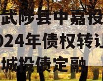 河南武陟县中嘉投资运营2024年债权转让项目城投债定融