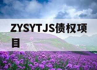 ZYSYTJS债权项目