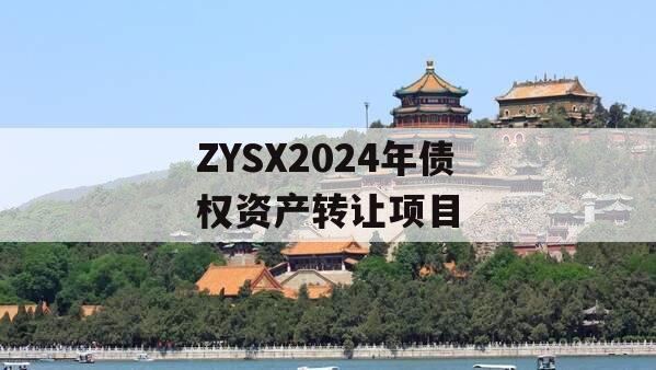 ZYSX2024年债权资产转让项目