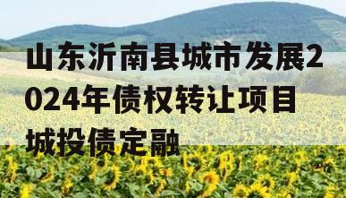 山东沂南县城市发展2024年债权转让项目城投债定融