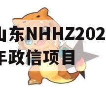 山东NHHZ2024年政信项目