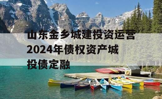 山东金乡城建投资运营2024年债权资产城投债定融