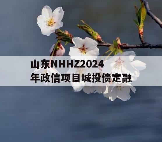 山东NHHZ2024年政信项目城投债定融