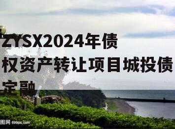 ZYSX2024年债权资产转让项目城投债定融