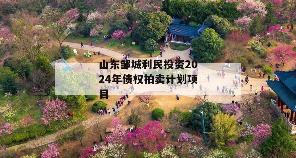 山东邹城利民投资2024年债权拍卖计划项目