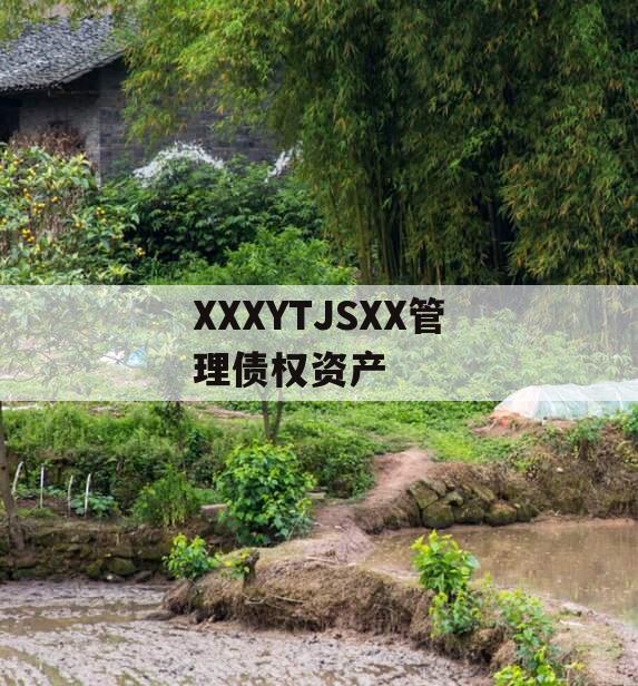 XXXYTJSXX管理债权资产