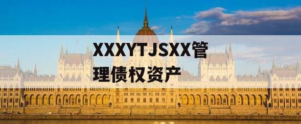 XXXYTJSXX管理债权资产