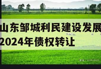 山东邹城利民建设发展2024年债权转让