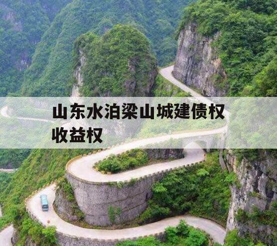 山东水泊梁山城建债权收益权