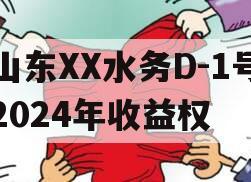 山东XX水务D-1号2024年收益权