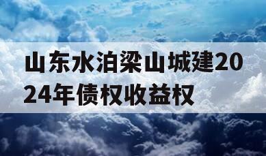 山东水泊梁山城建2024年债权收益权