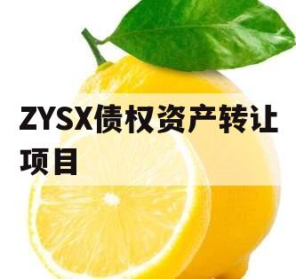 ZYSX债权资产转让项目