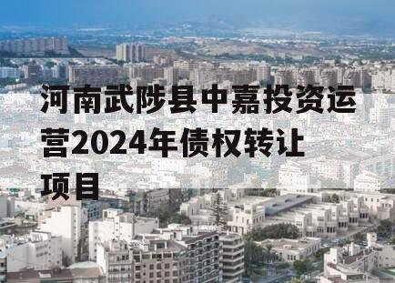 河南武陟县中嘉投资运营2024年债权转让项目