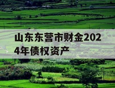 山东东营市财金2024年债权资产