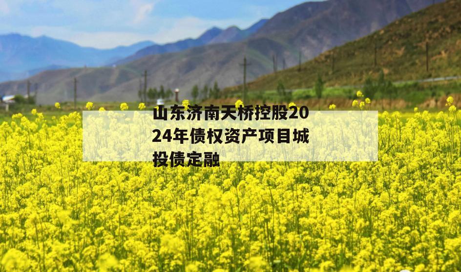 山东济南天桥控股2024年债权资产项目城投债定融