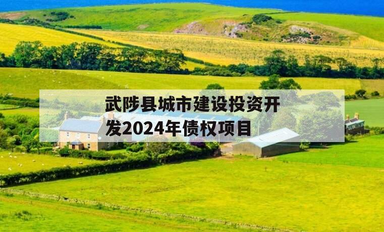 武陟县城市建设投资开发2024年债权项目