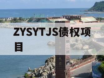 ZYSYTJS债权项目