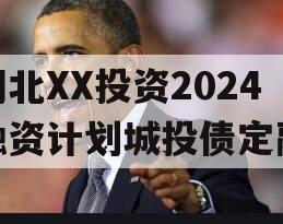 湖北XX投资2024融资计划城投债定融