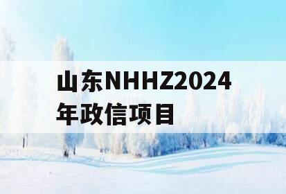 山东NHHZ2024年政信项目