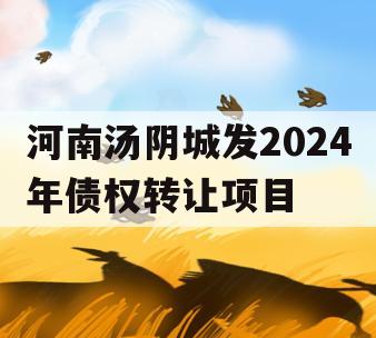 河南汤阴城发2024年债权转让项目