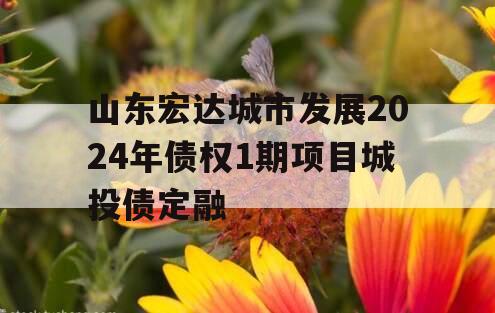 山东宏达城市发展2024年债权1期项目城投债定融