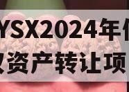 ZYSX2024年债权资产转让项目