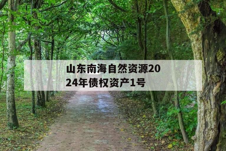 山东南海自然资源2024年债权资产1号