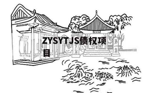 ZYSYTJS债权项目