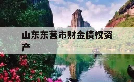 山东东营市财金债权资产