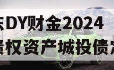 山东DY财金2024年债权资产城投债定融