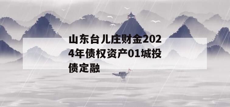 山东台儿庄财金2024年债权资产01城投债定融