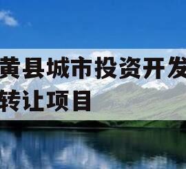 内黄县城市投资开发债权转让项目