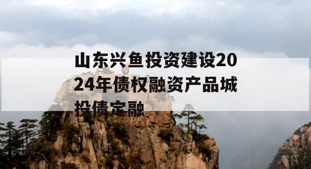 山东兴鱼投资建设2024年债权融资产品城投债定融