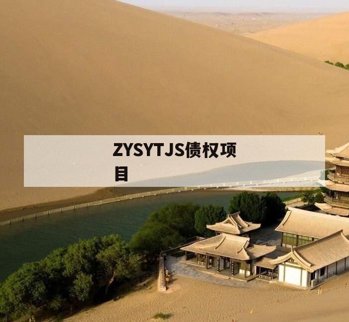 ZYSYTJS债权项目