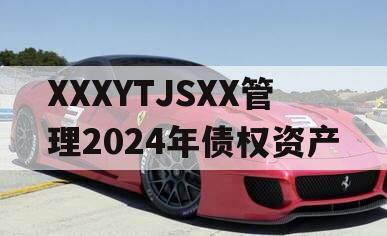 XXXYTJSXX管理2024年债权资产