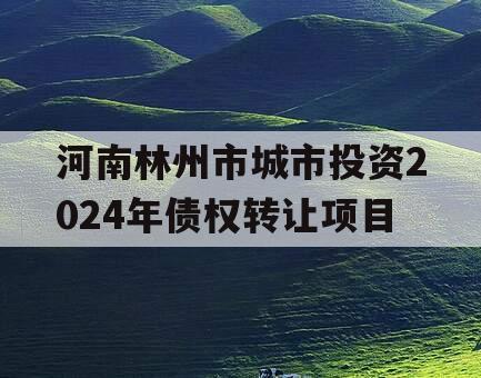 河南林州市城市投资2024年债权转让项目