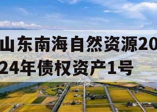 山东南海自然资源2024年债权资产1号