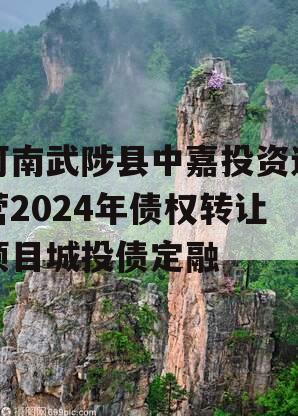 河南武陟县中嘉投资运营2024年债权转让项目城投债定融