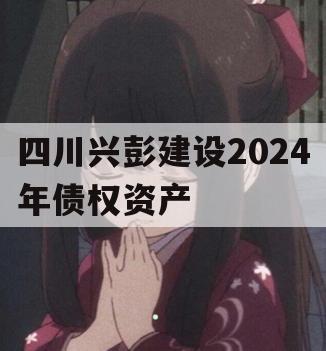 四川兴彭建设2024年债权资产