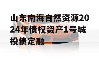 山东南海自然资源2024年债权资产1号城投债定融