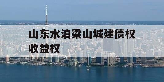 山东水泊梁山城建债权收益权